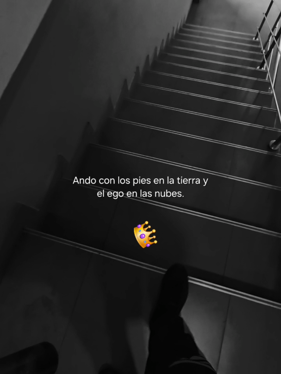 @Frasero25 👑