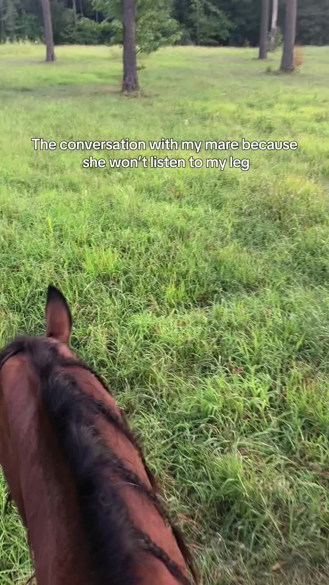 @that-horsechick