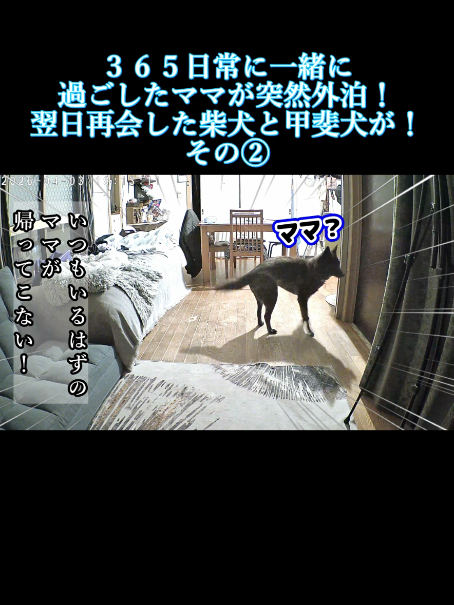 @川沿いに歩く妻サヲル