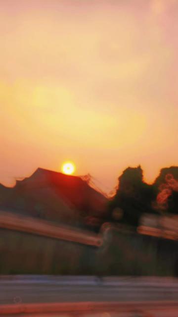 @Diny