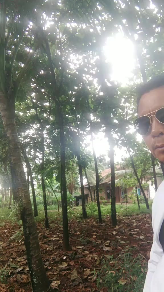 @Bose jalur Gaza 412
