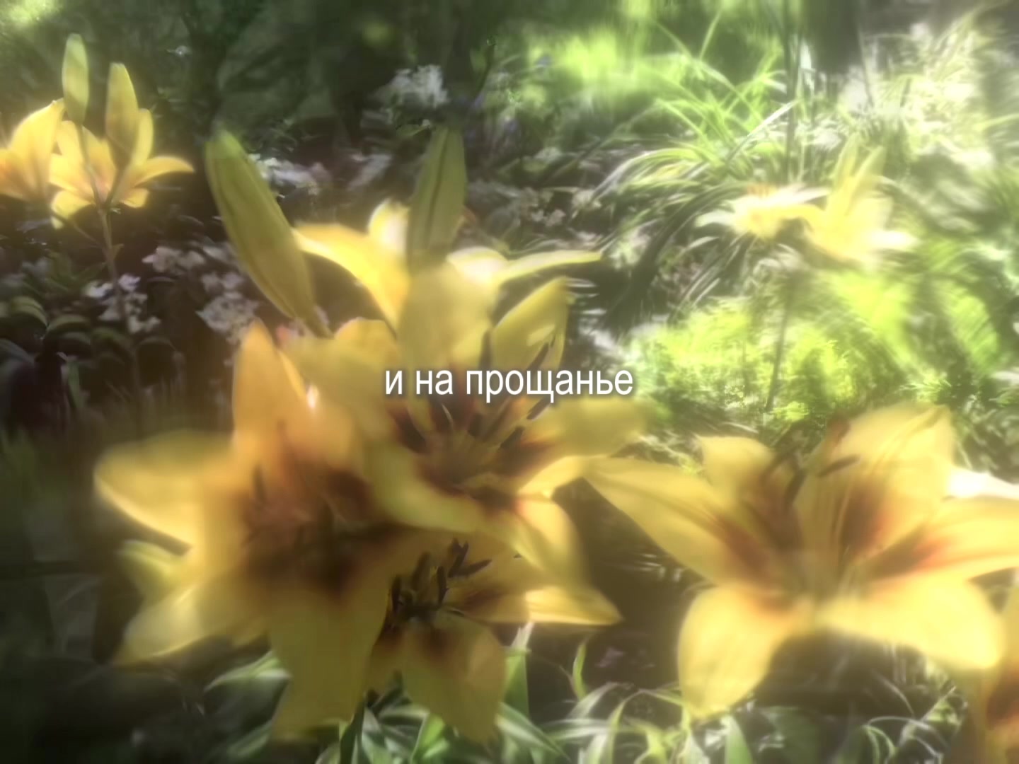 @звуки для липсингов