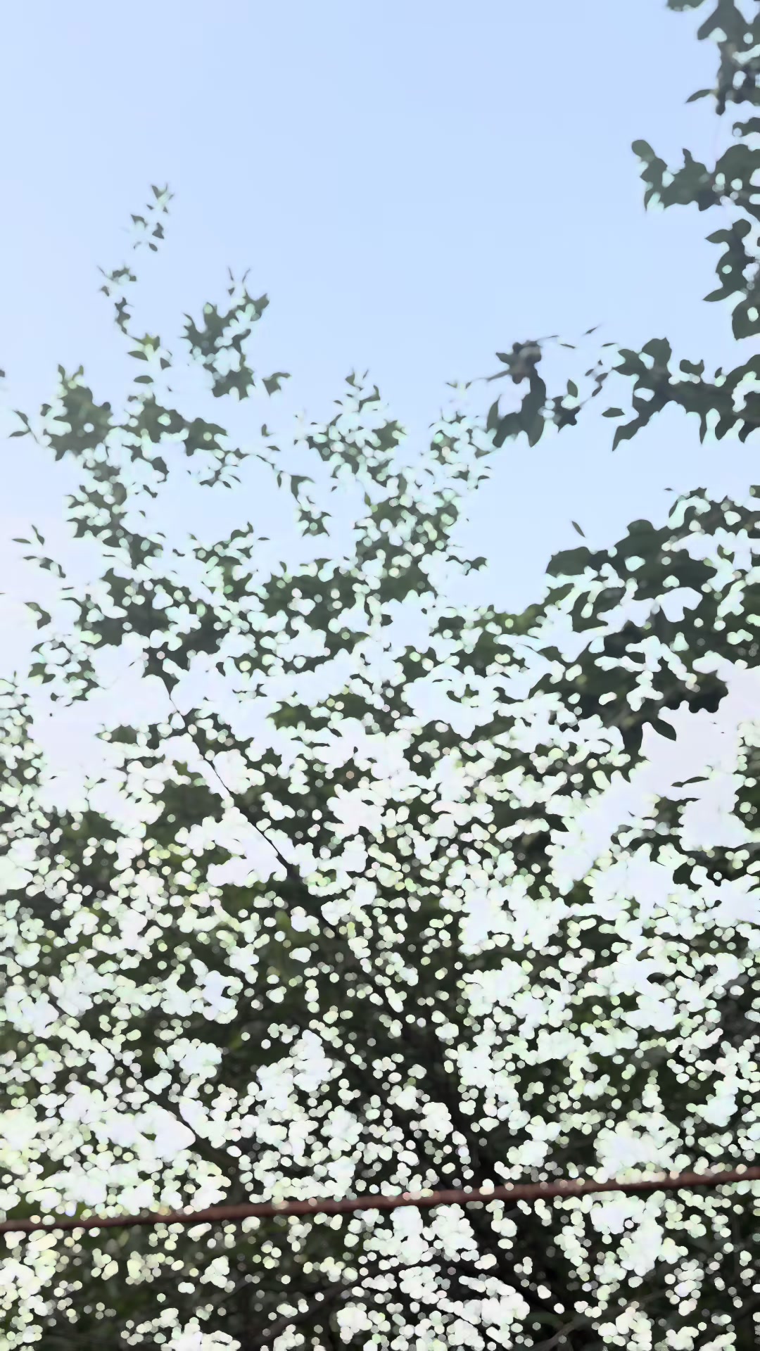 @sunilmoktan55