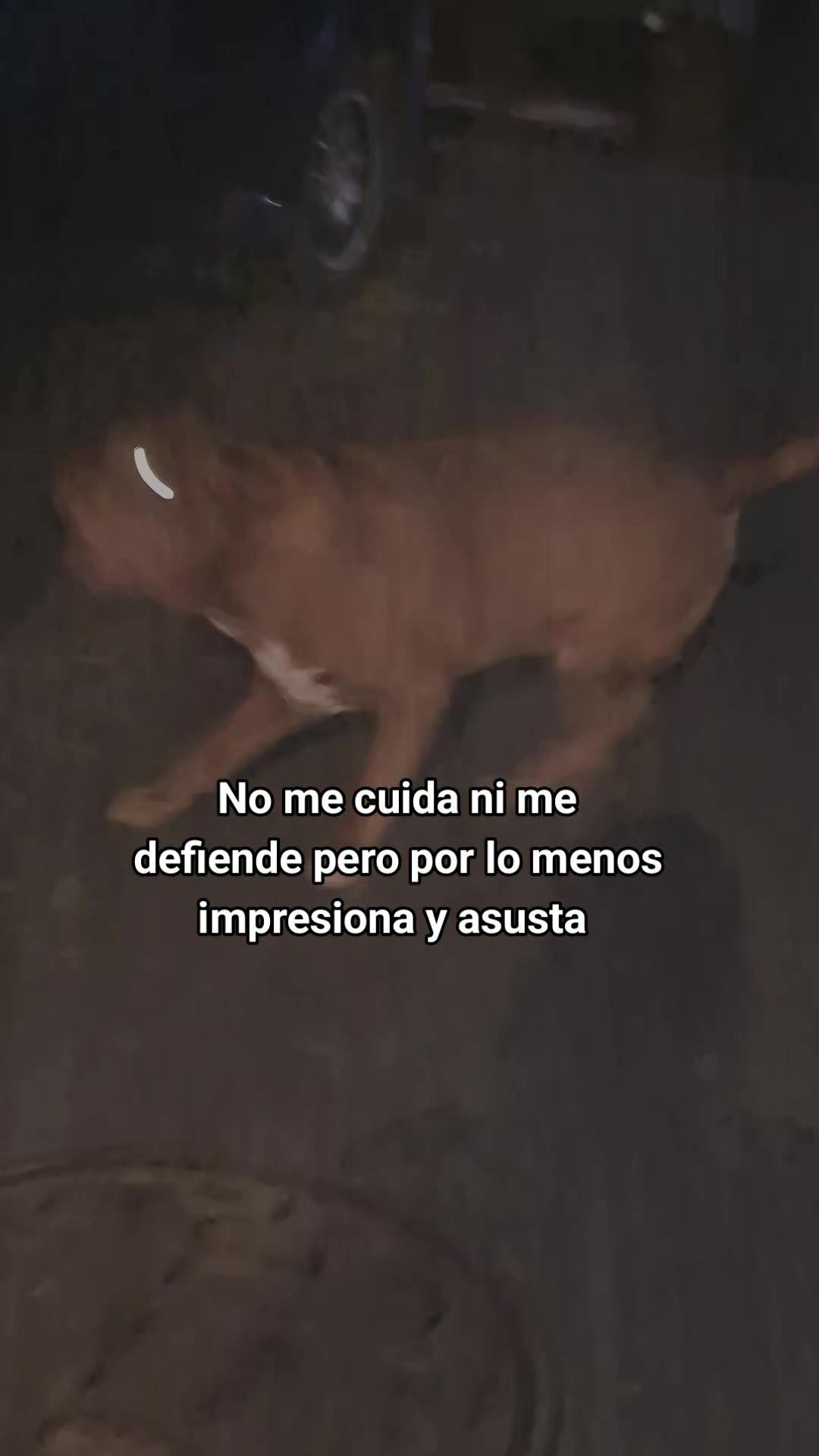 @Chelita💗