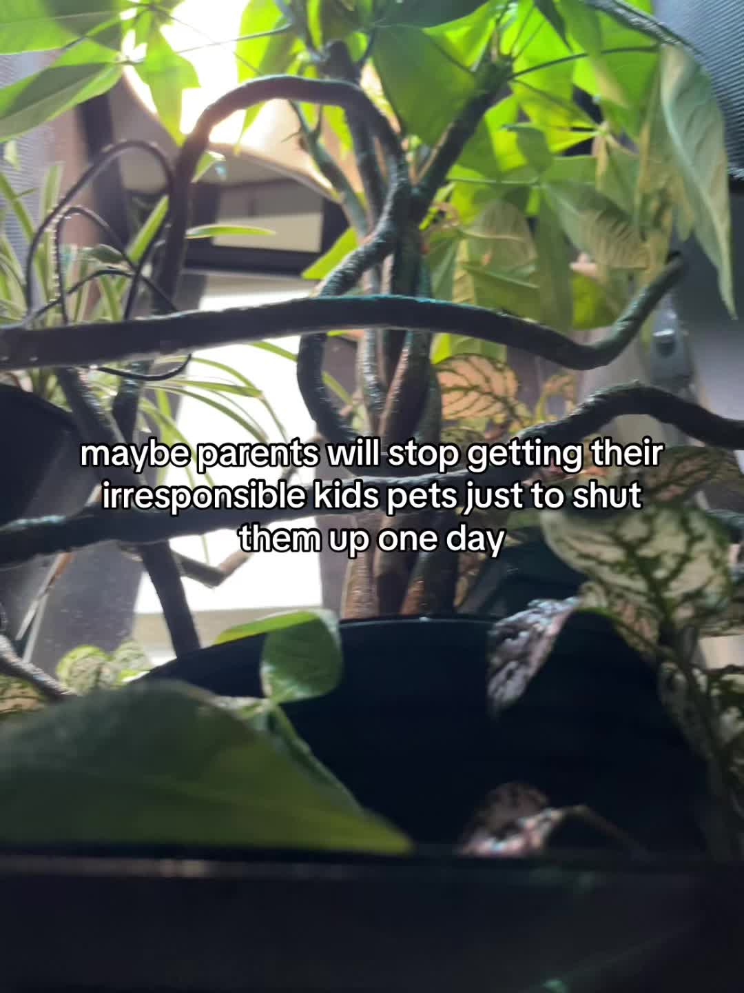 @Doobie
