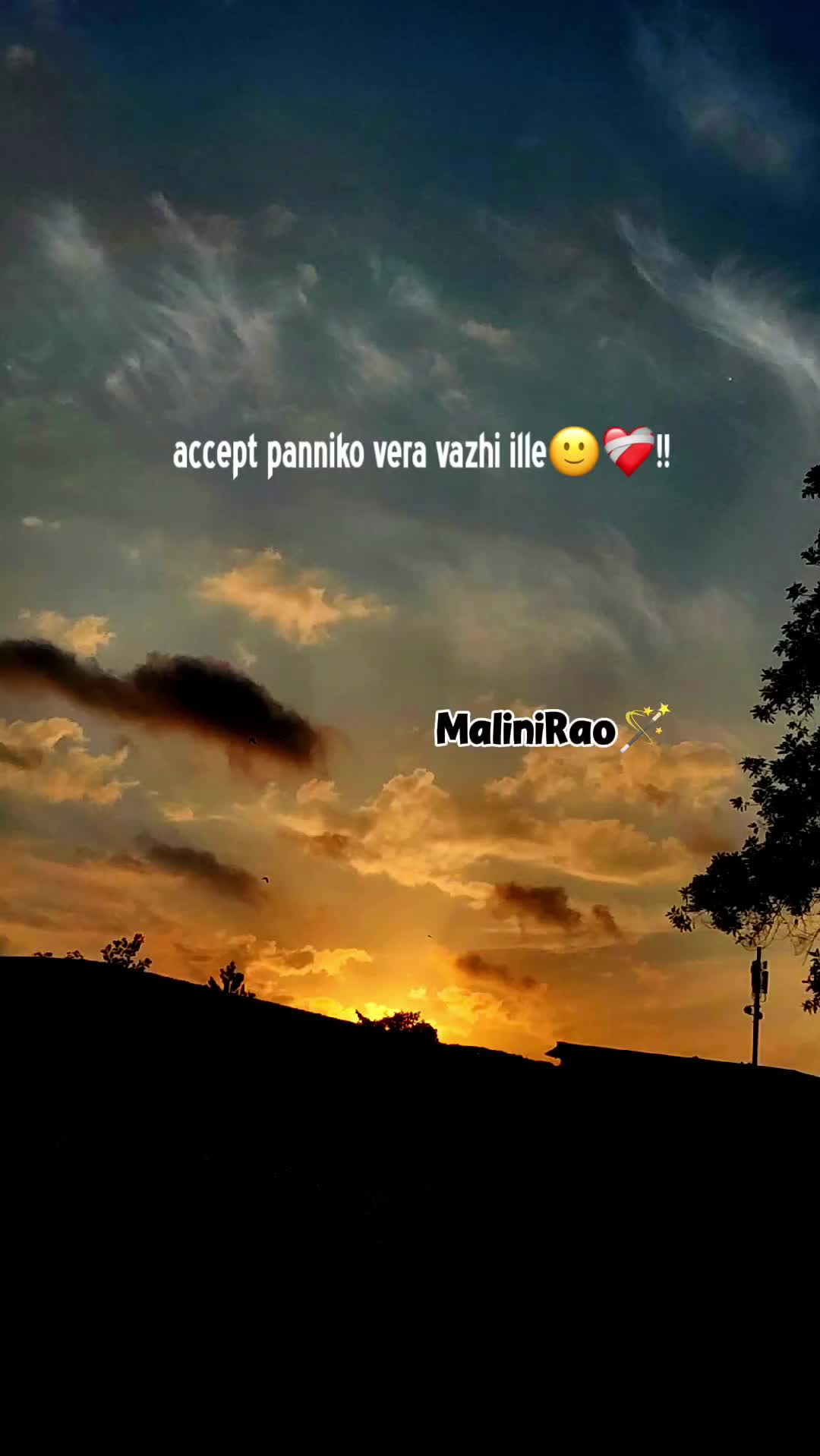 @MaliniRao🌙