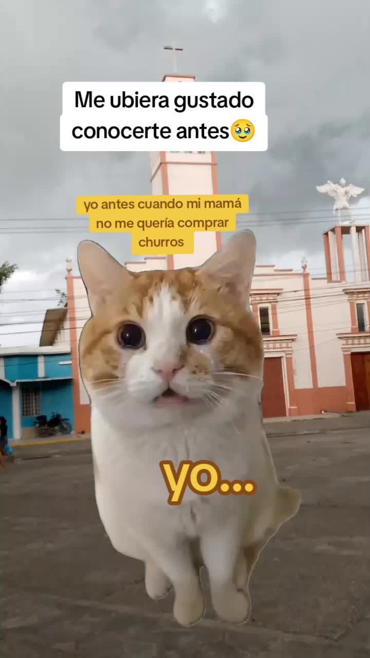 @Melvin flores 🇭🇳🦁