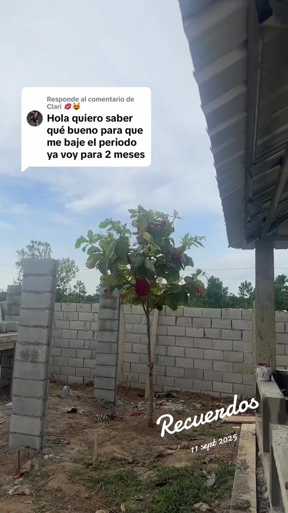 @Botellasnaturalpromesademujer