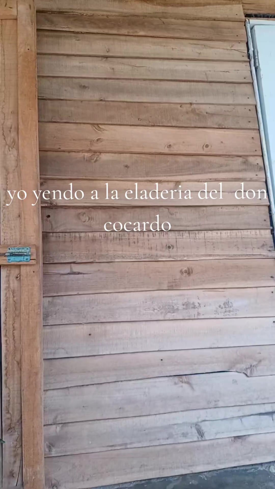 @Isabel Reinoso marrero16❤️