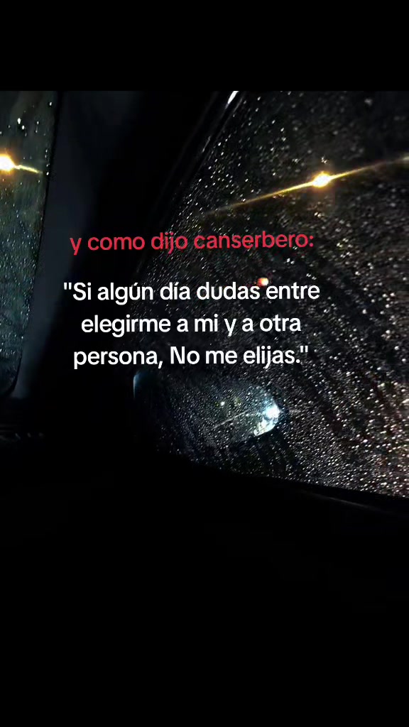 @🌸LizAr🌸