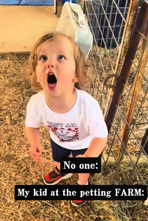 @funny.pets.babyone