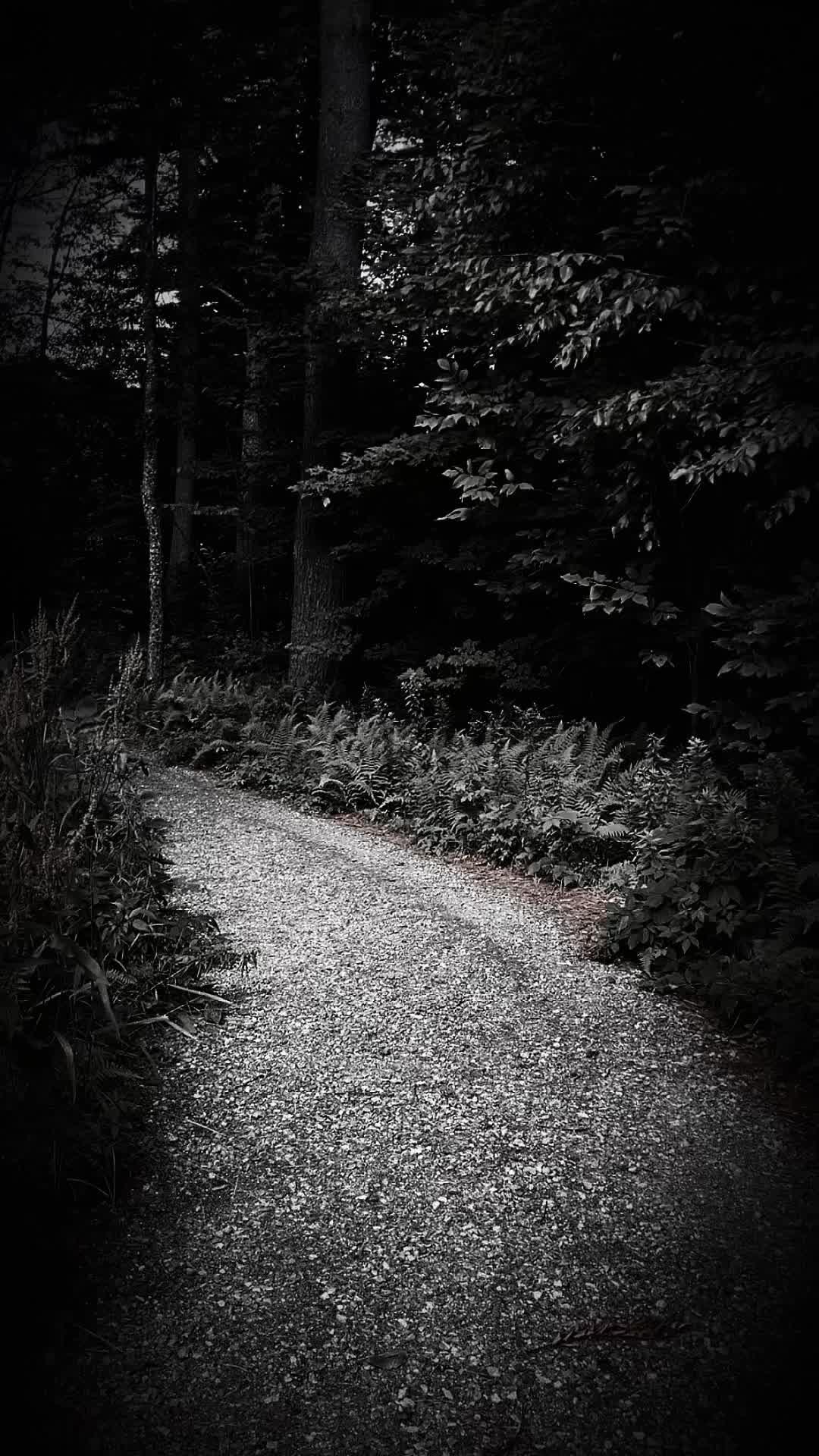 @Amanda 🌝🌲