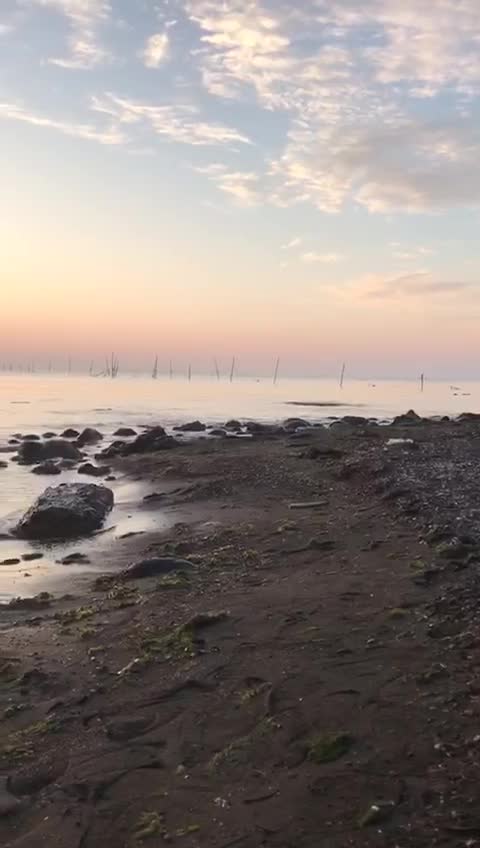@Taliş
