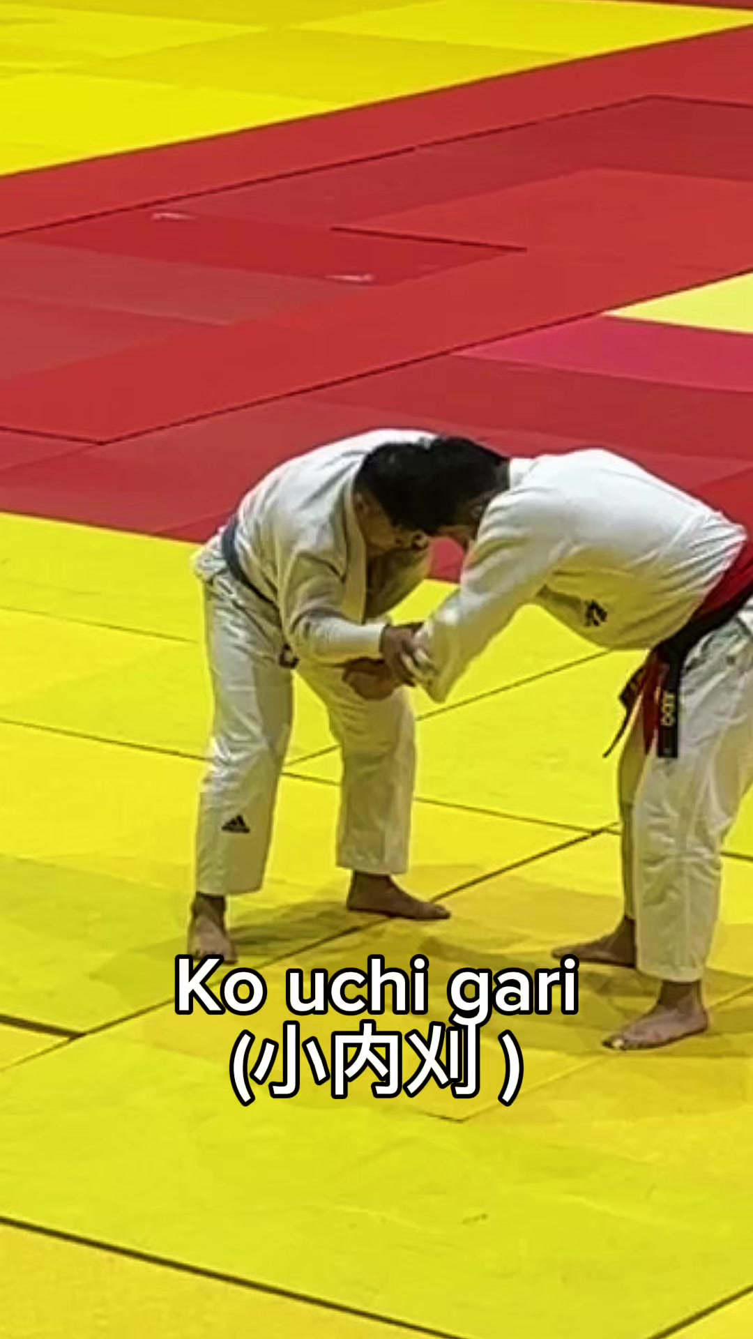 @Rainaldo