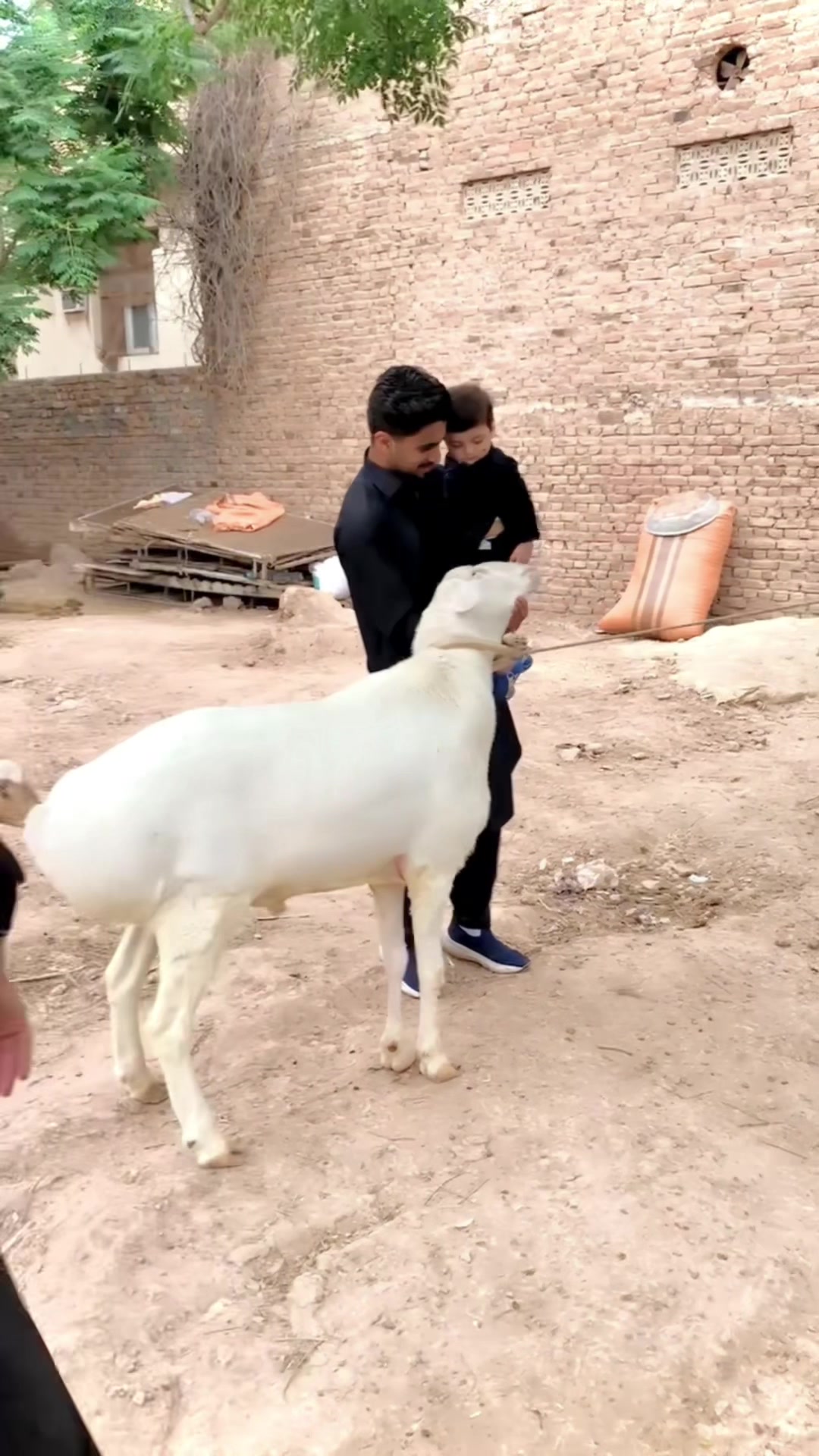 @𝘽 𝘼 س 𝙄 𝙏 🎖️