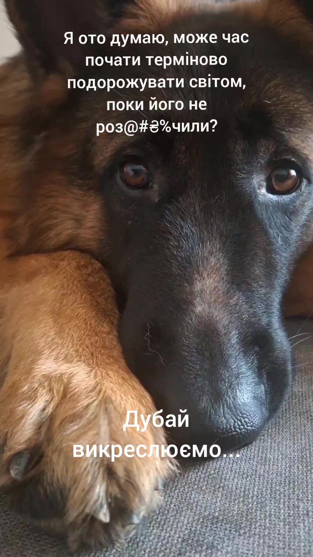 @МАТЬ ДРАКОНІВ🤣