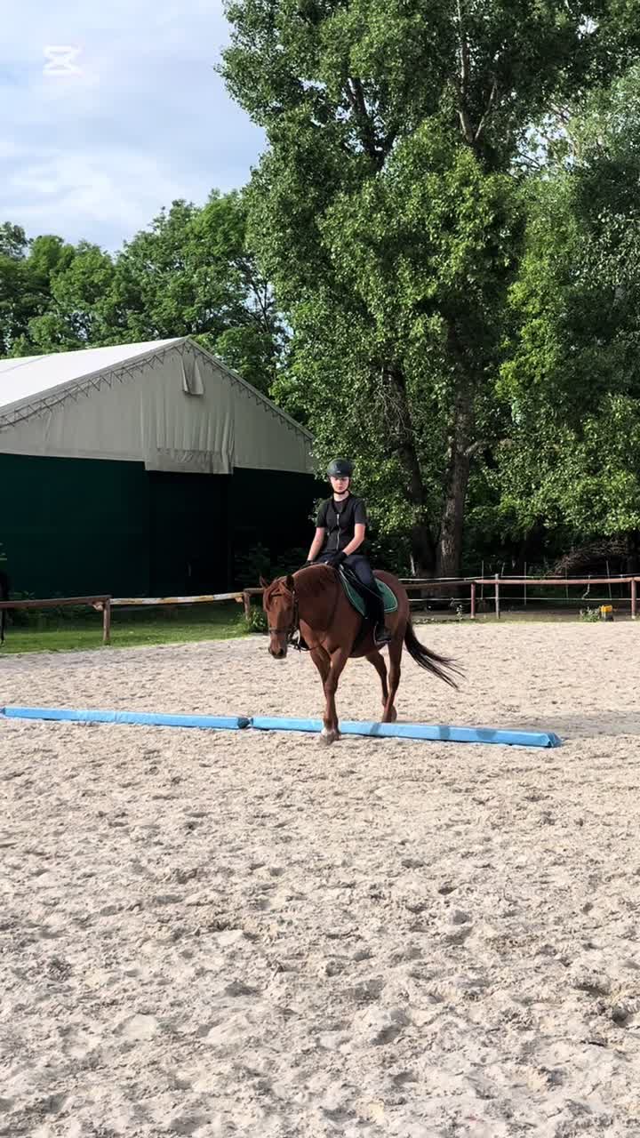 @s.equestrian