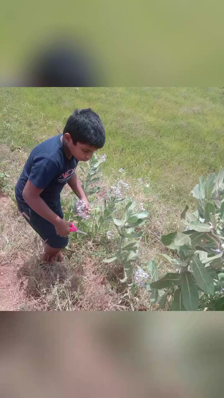@සබ්බ දානං ධම්ම දානං ජිනාති