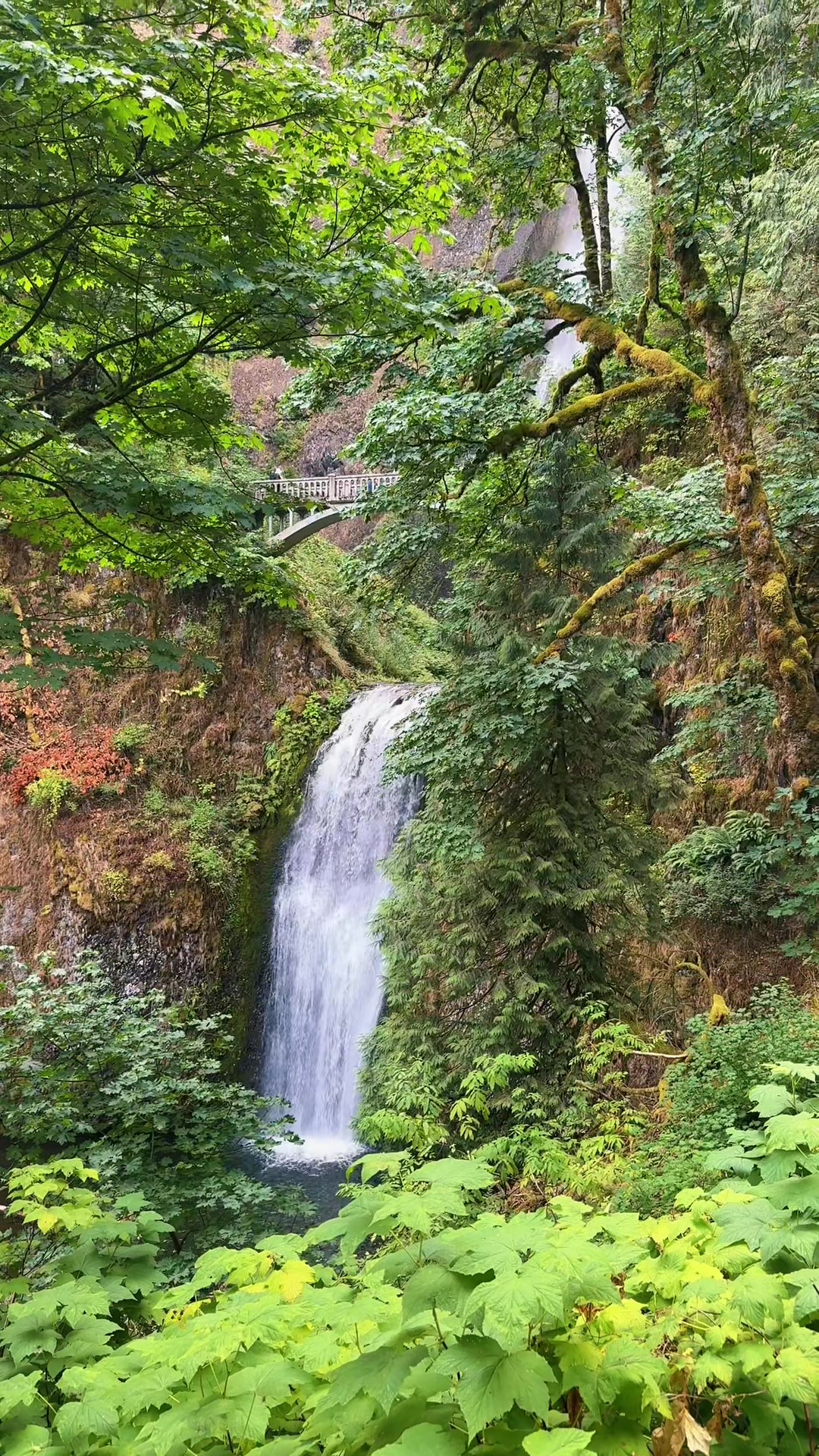 @Angel | Nature & Travel