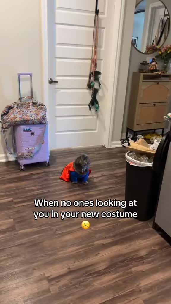 @AshBash