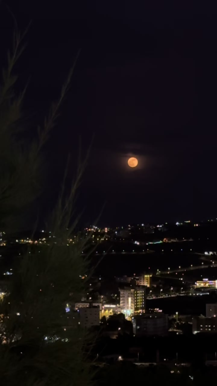 @𝓜❤️🕊️