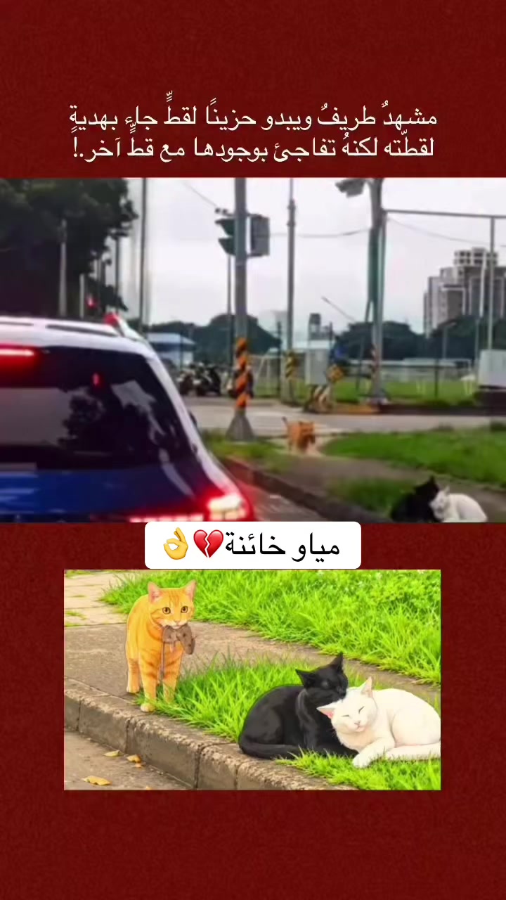 @حفففيد السلاطين