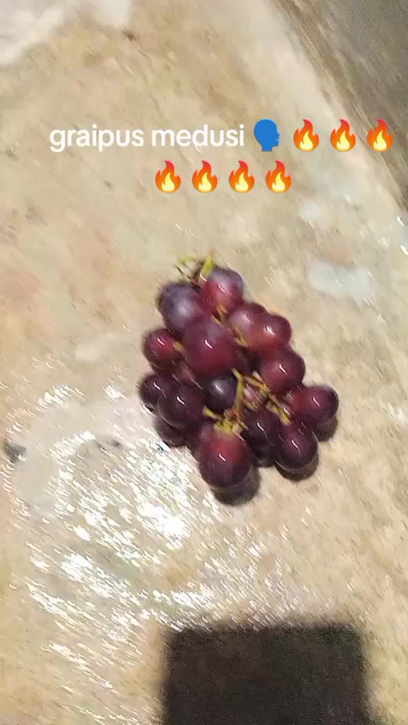@elArabe