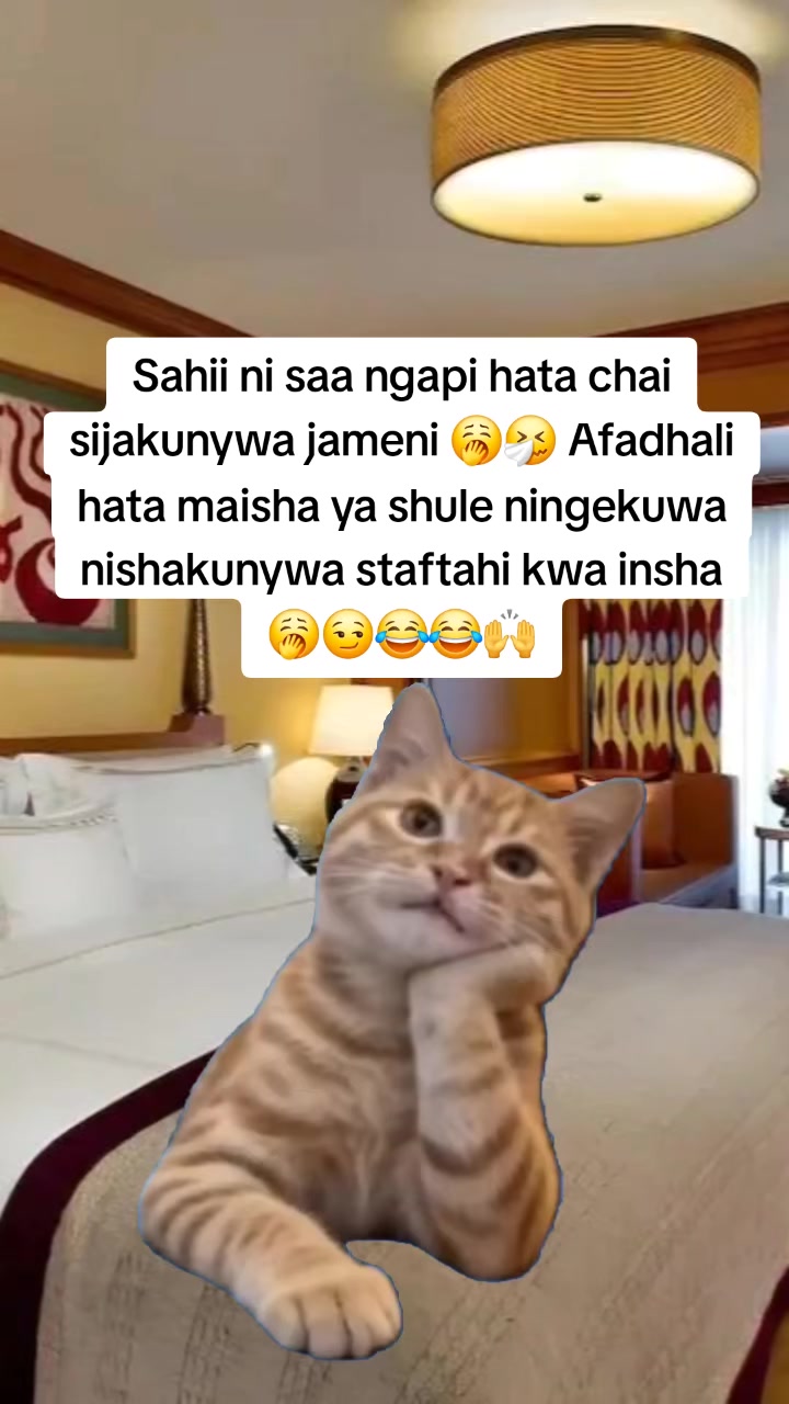 @Miss Vibez ๐ค๐๐