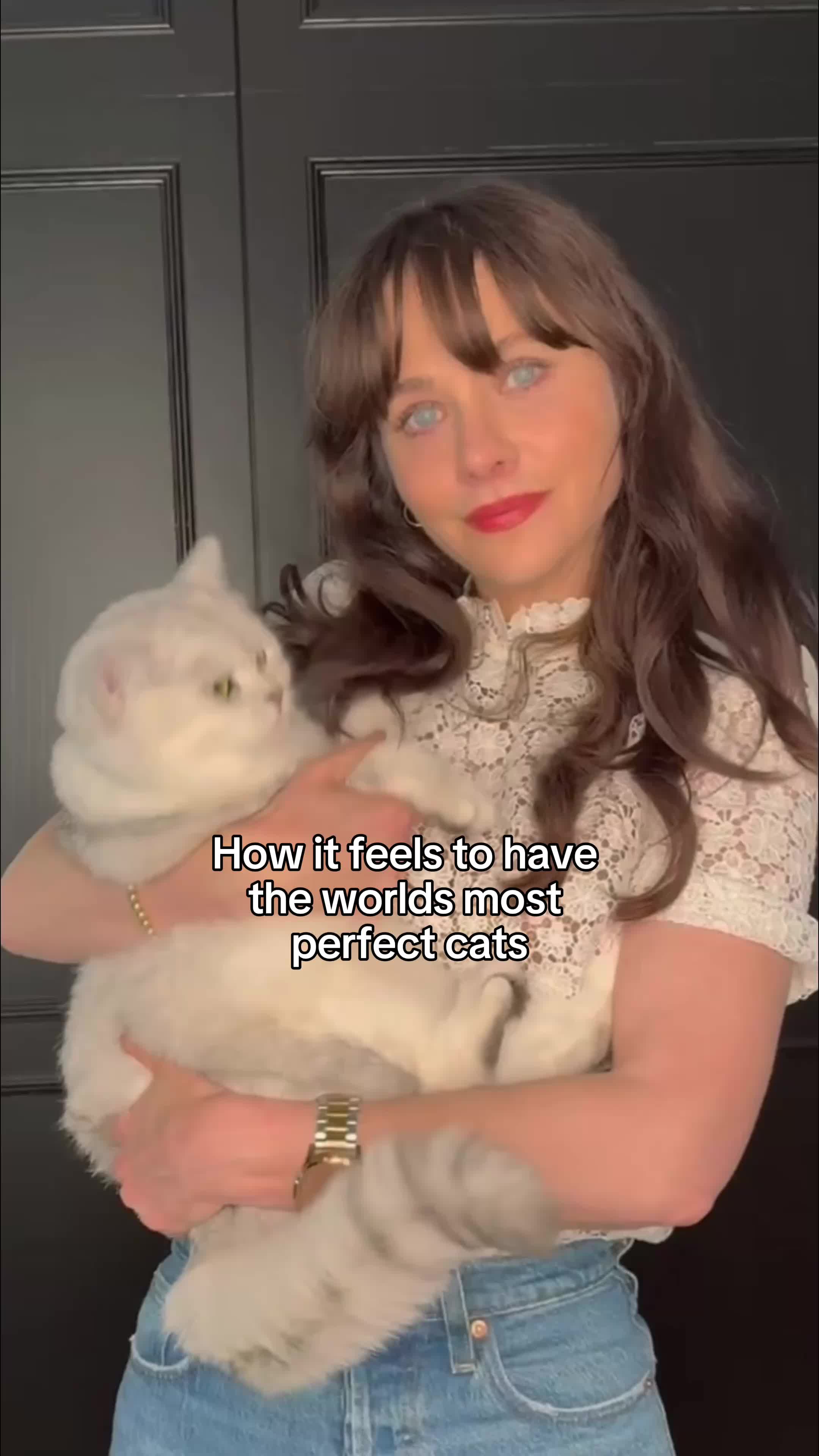 @zooeydeschanel