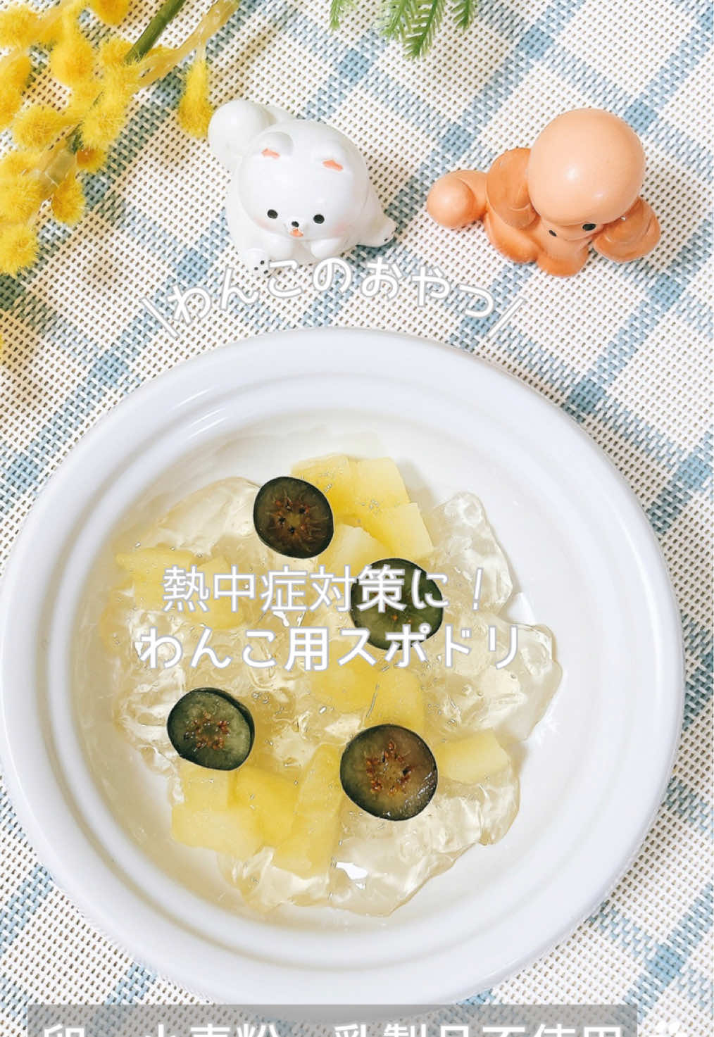 @ゆきえもん|手作り愛犬おやつ