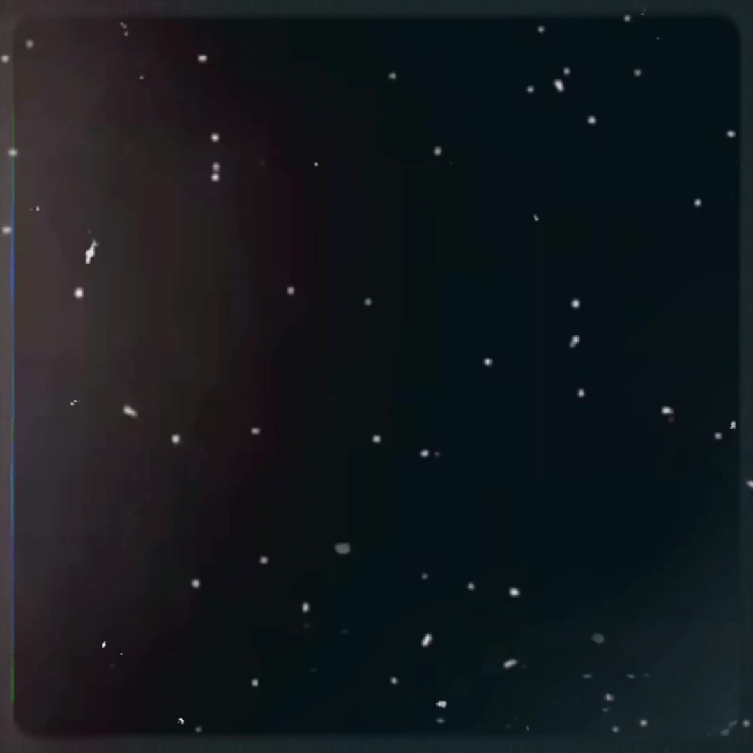 @тойота.пізда_койота🐦&zwj;⬛🪽/🎸🥁