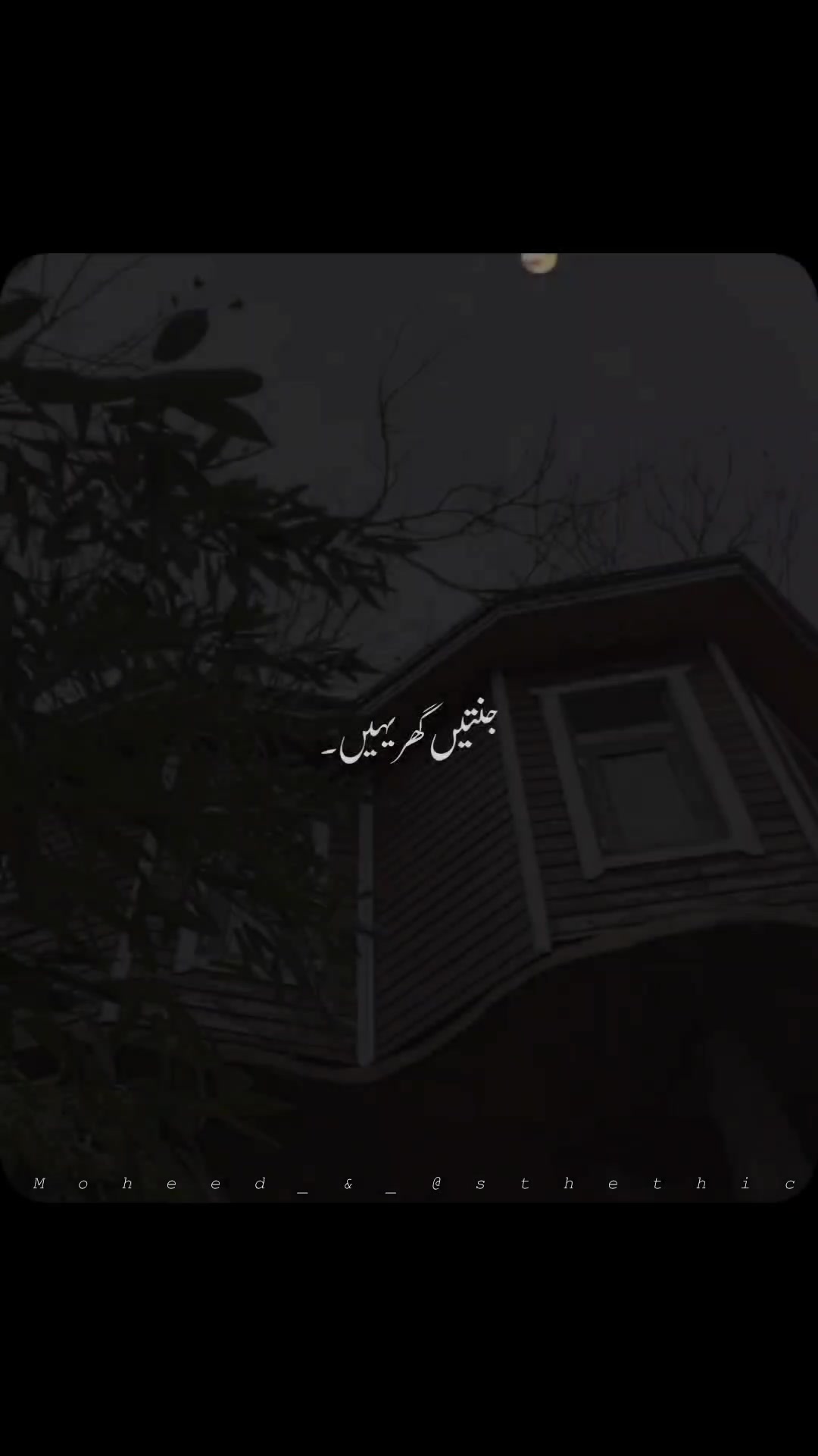 @Moheed astethic ๐๐๏ธ๐คญ