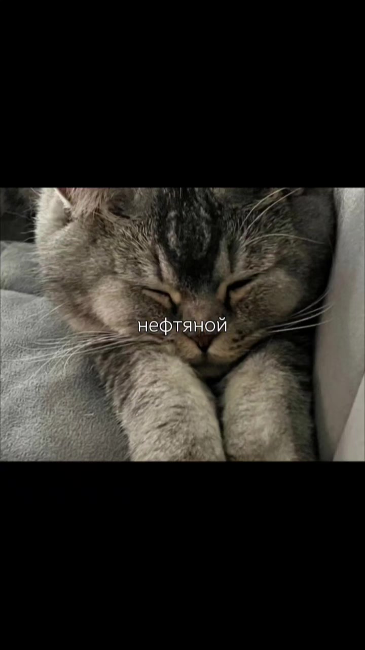 @𝐚𝐫𝐢♡