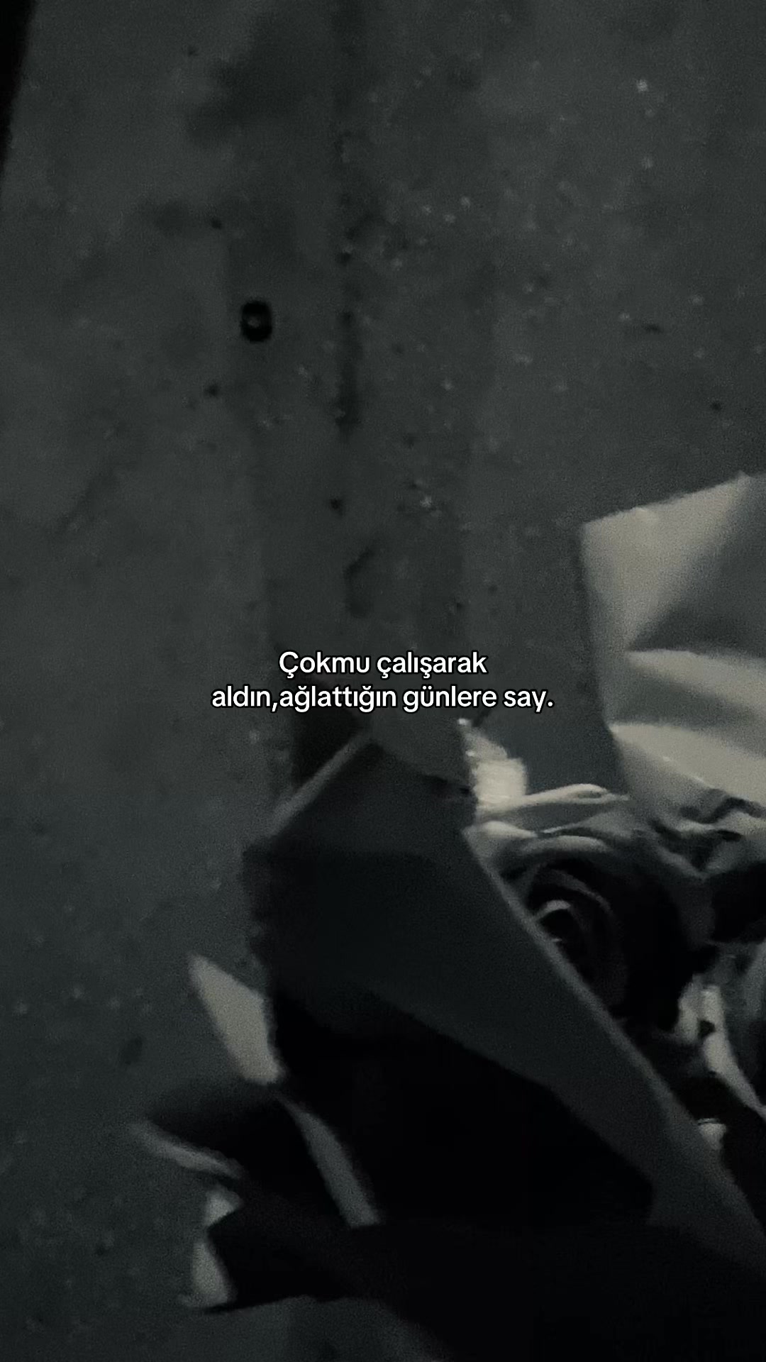 @selin yılmaz
