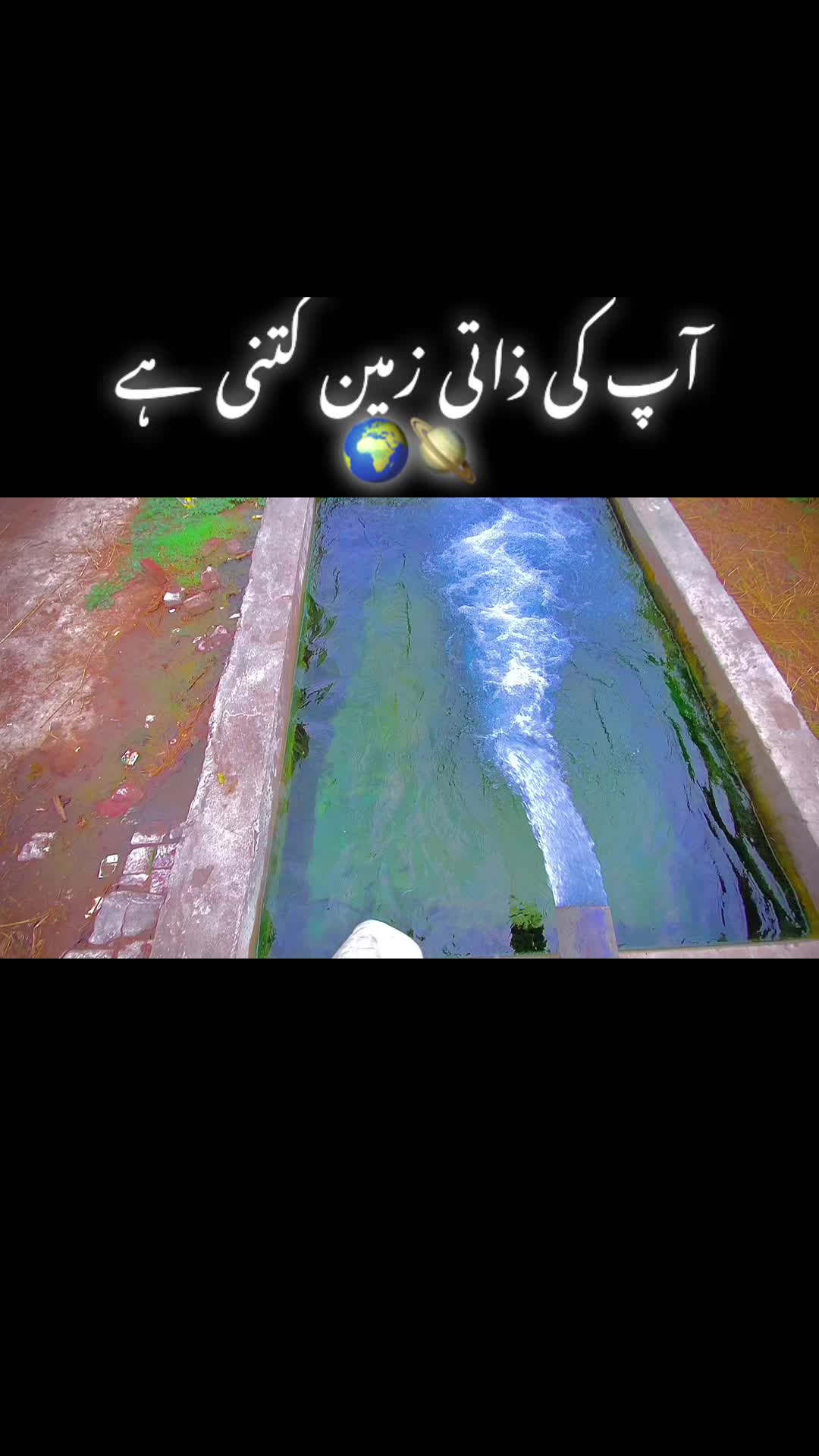 @ساجی موہل