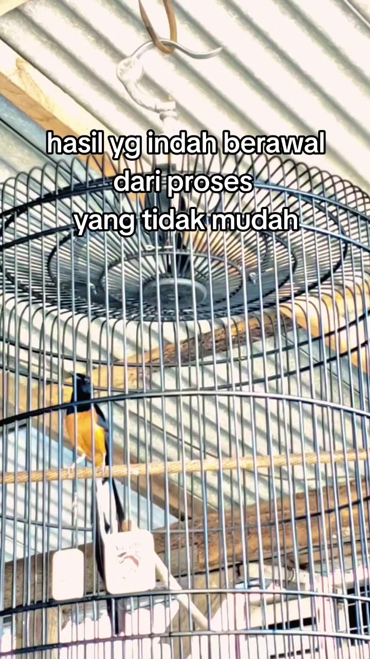 @DEN BAGUS