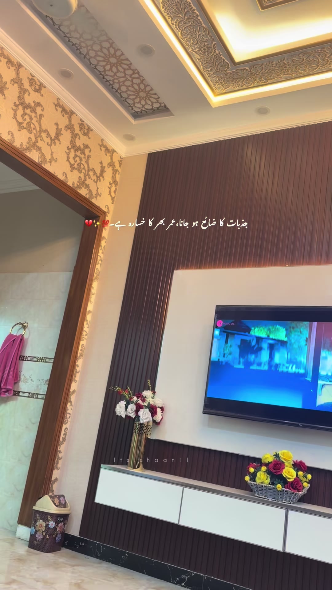 @✿༺ 𝒵𝑒𝑒𝓈𝒽𝒶𝓃 ༻✿