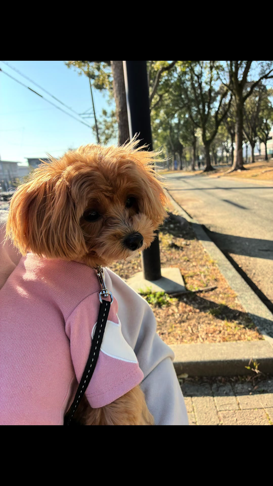 @ぱん