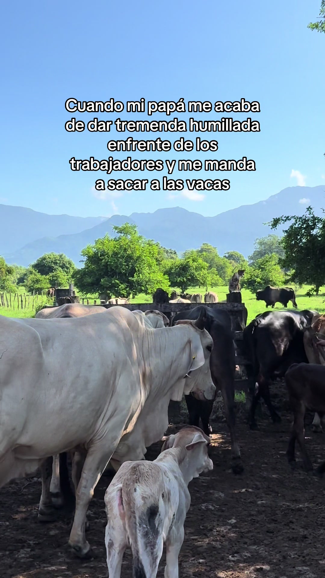 @Imo Mendoza