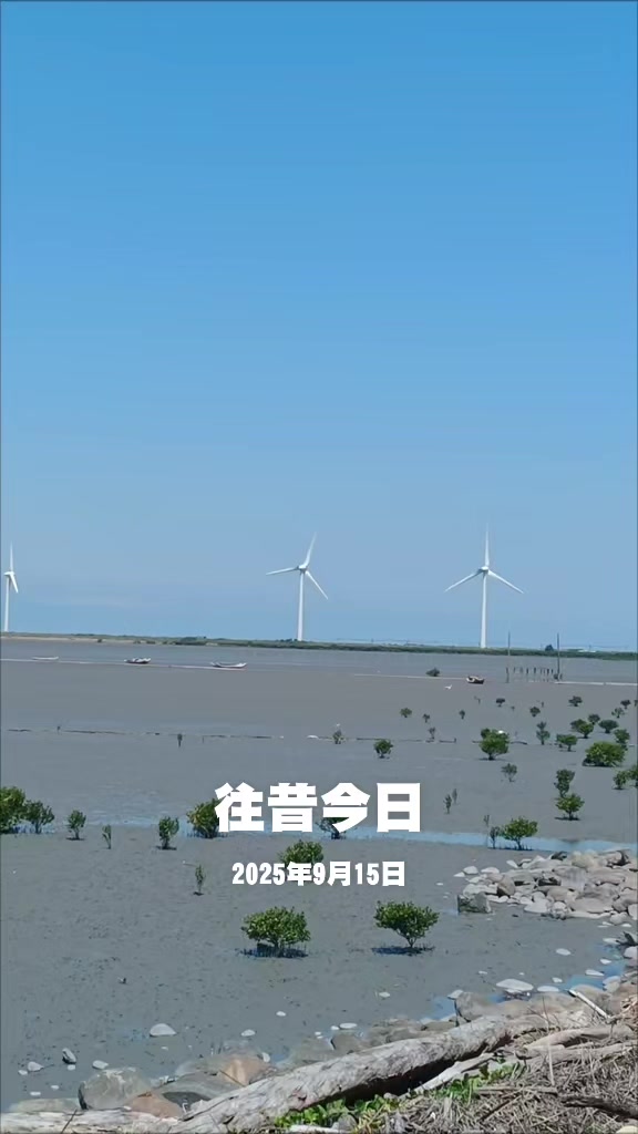 @好運氣從(◍•ᴗ•◍)❤開始🍀