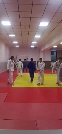 @mir_judo