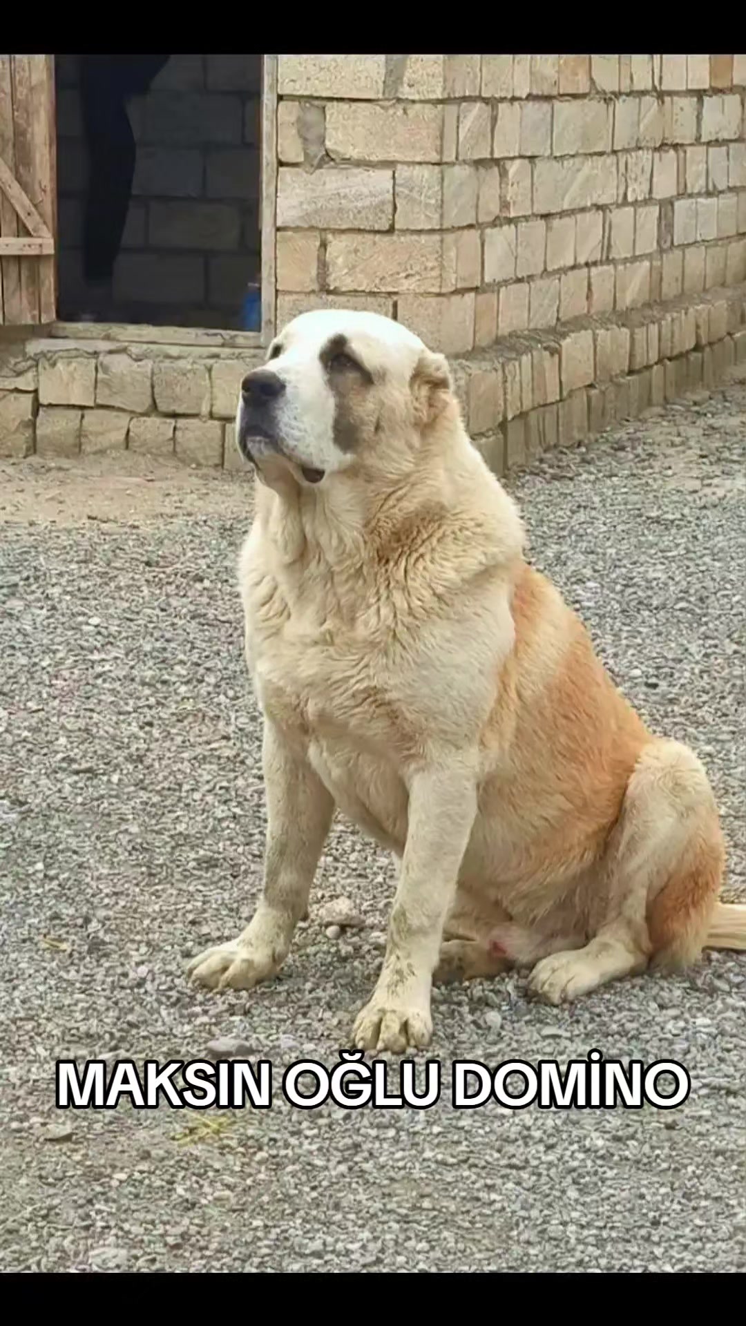 @Elşad__007