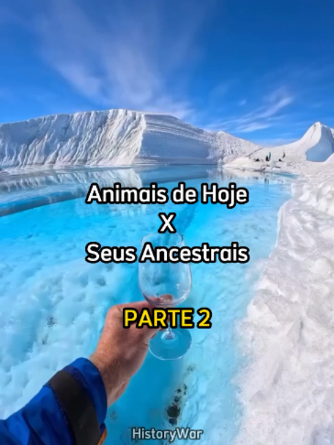 @History War