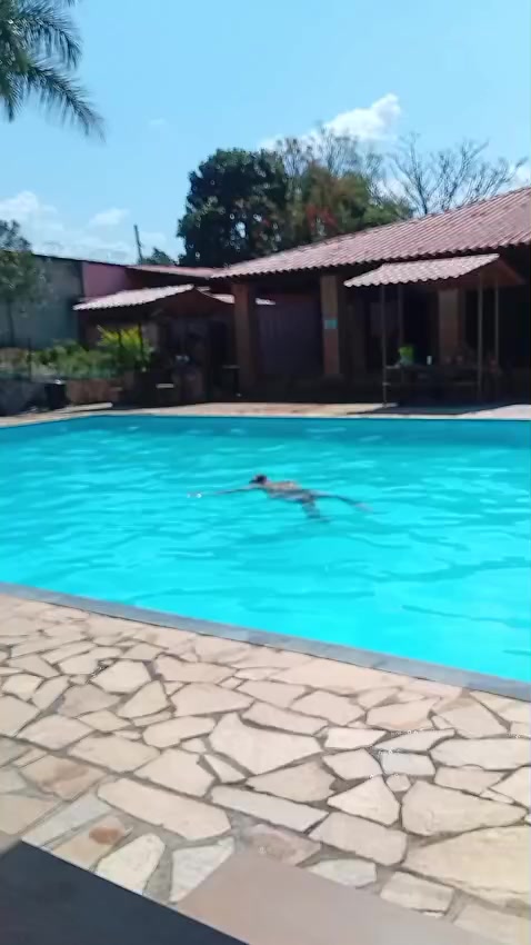 @brunohenriquedias1804
