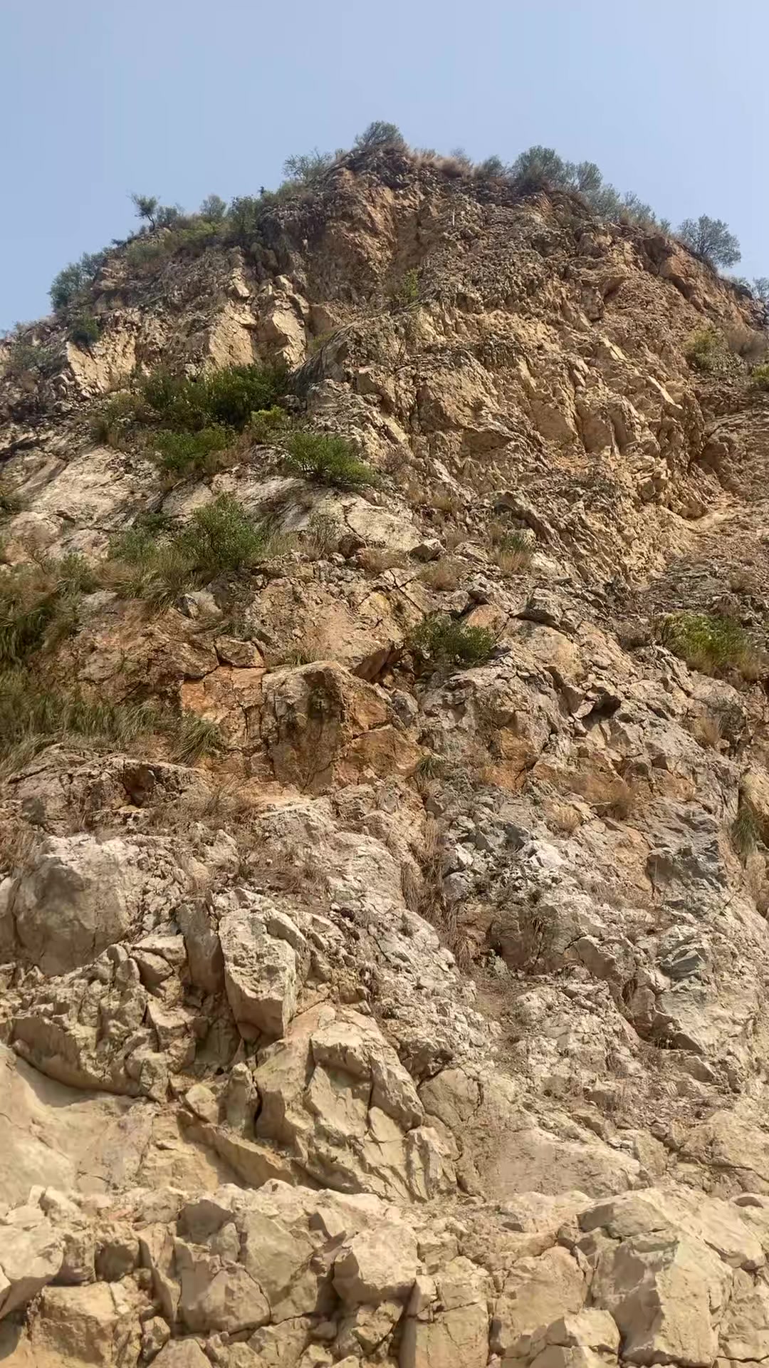 @🦅برینڈSHERU👊🏻