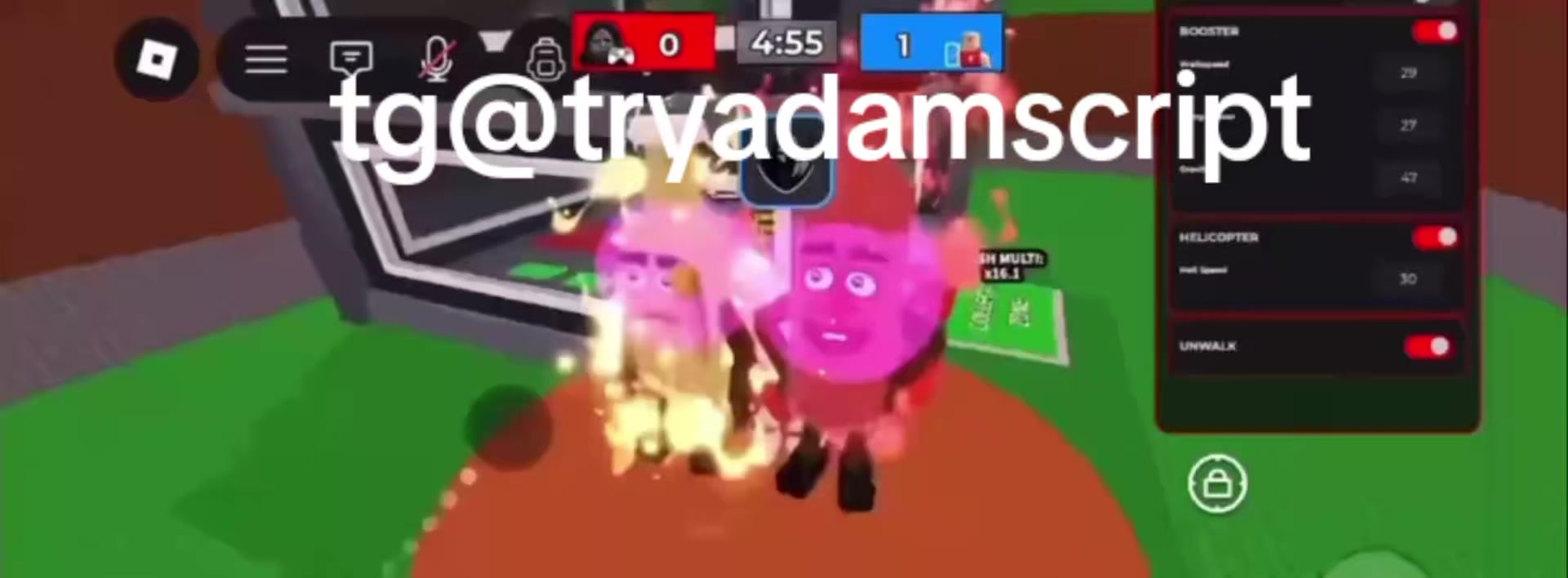 @try_adam_script