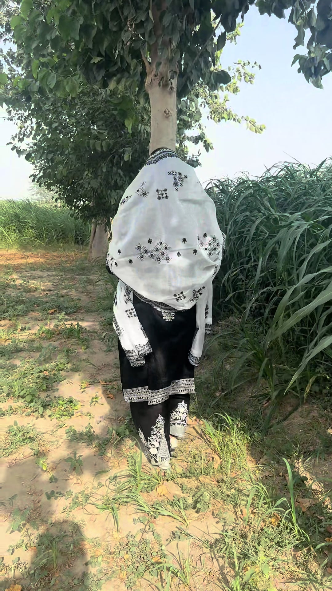 @zimal khan saraiki 9612