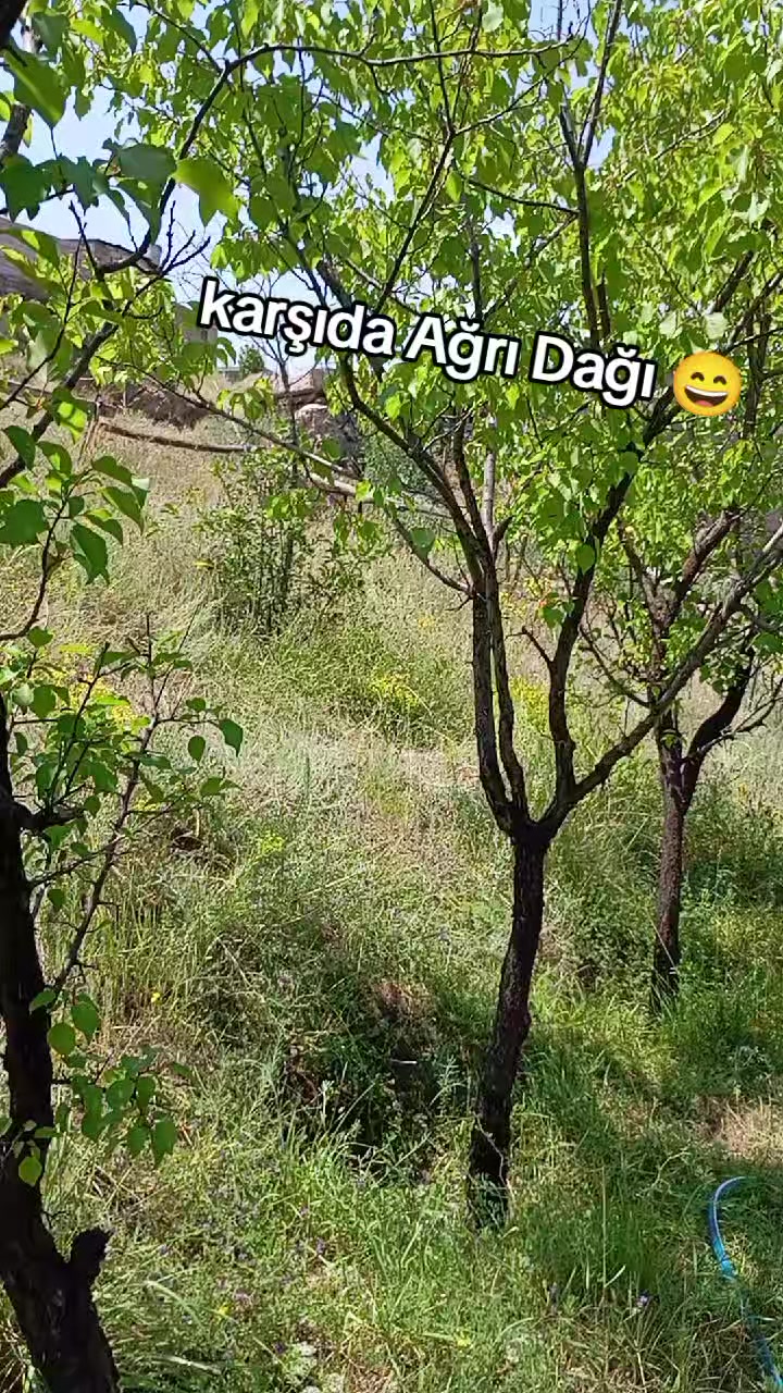 @bazidli adem04