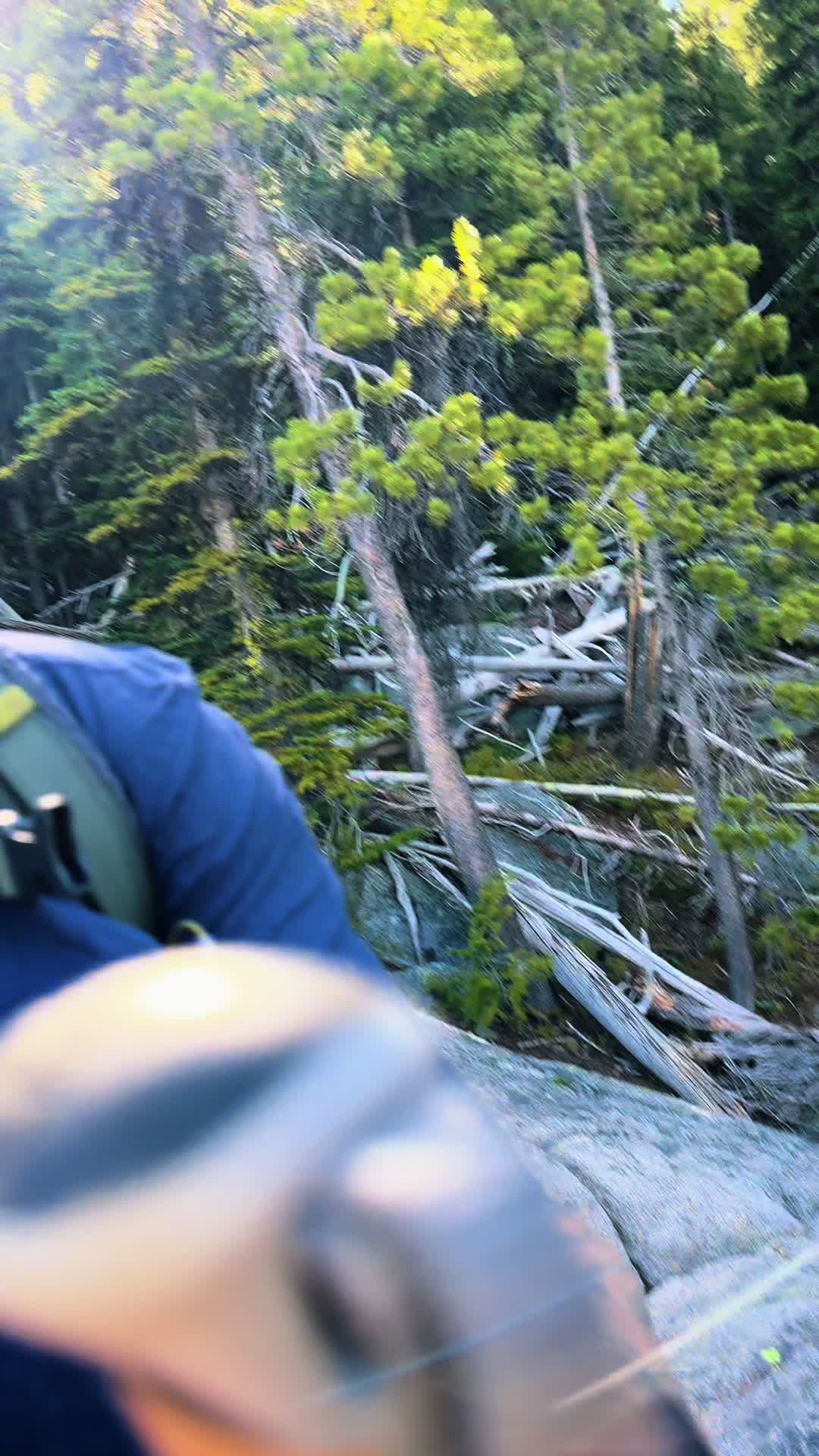 @🌲 James | WA 🏔️