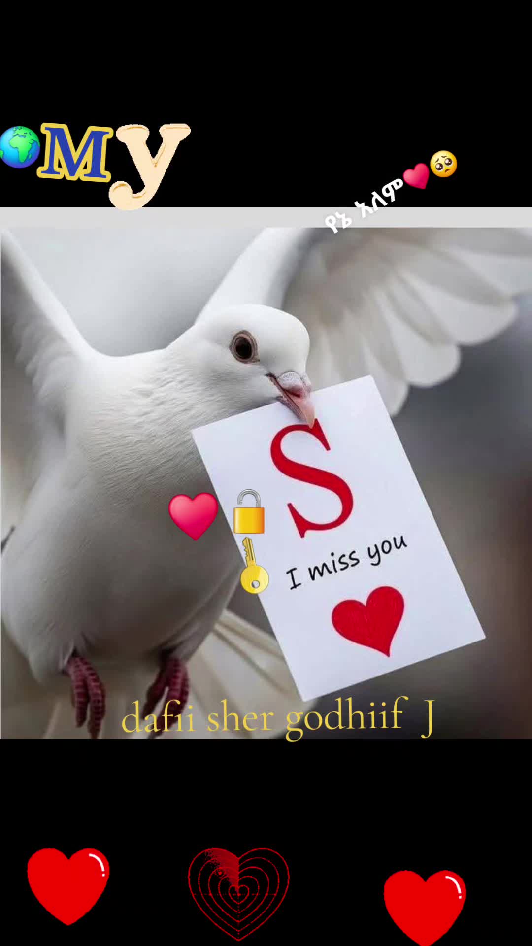 @waan ofii 667🦋❤️&zwj;🔥👉🌲✅️🌹